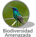 Narrativa Biodiversisdad Amenzada