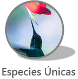 Narrativa Servicios Ecosistemicos