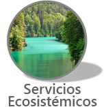 Narrativa Especies Unicas
