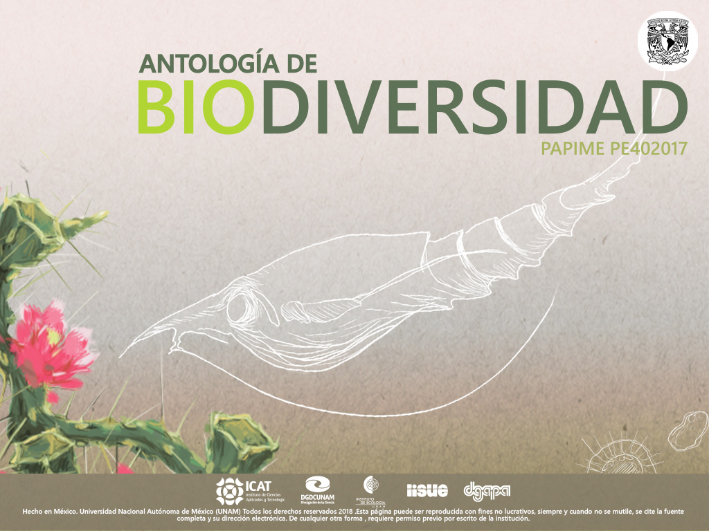 Portada Antologia de Ecologia