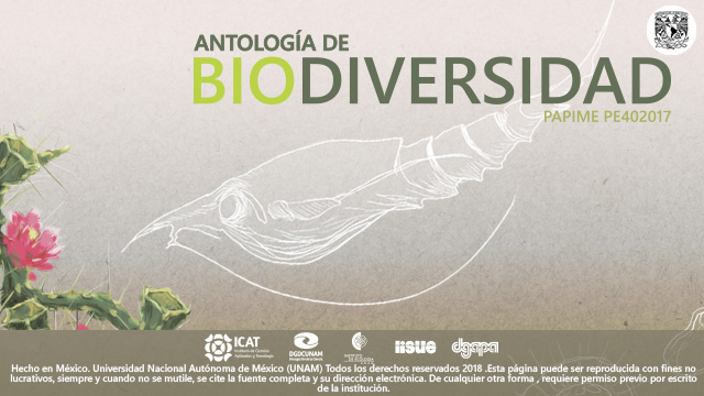 Portada Antologia de Ecologia