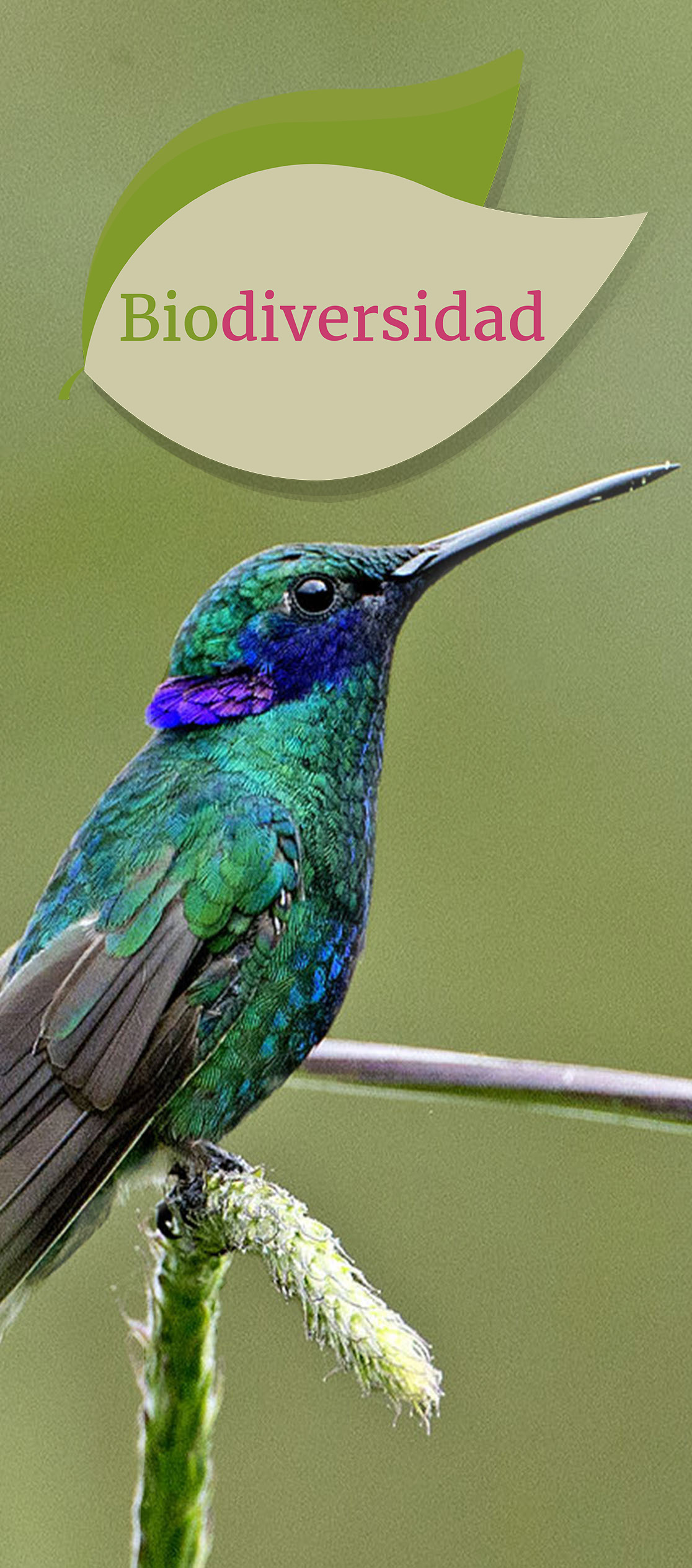 Biodiversidad