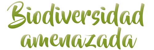 Narrativa Biodiversidad Amenazada