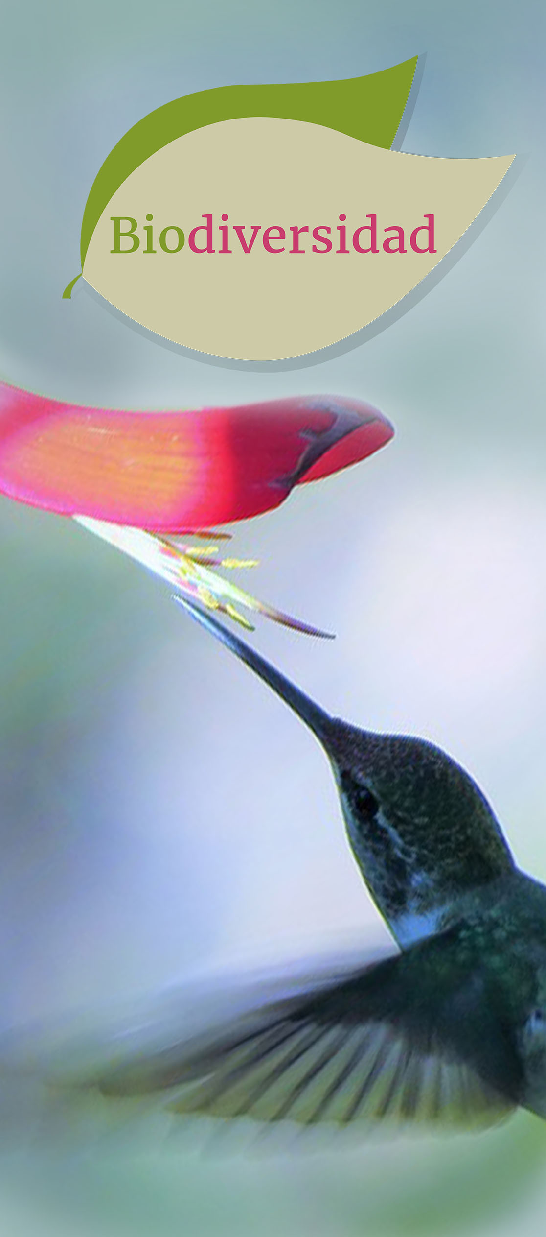 Biodiversidad