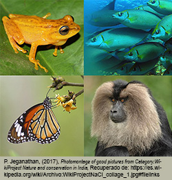 Biodiversidad