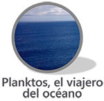 Narrativa Planktos