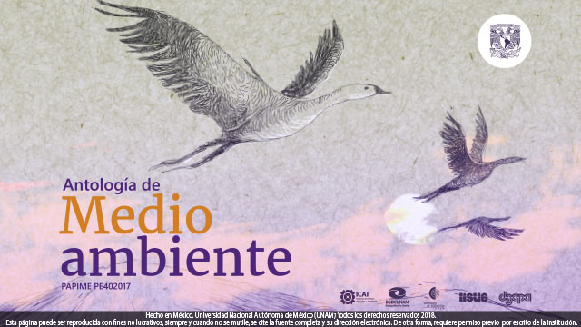Portada Antologia de Medio Ambiente