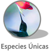 Antologia de Biodiversidad