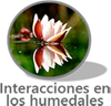 Antología de Ecología