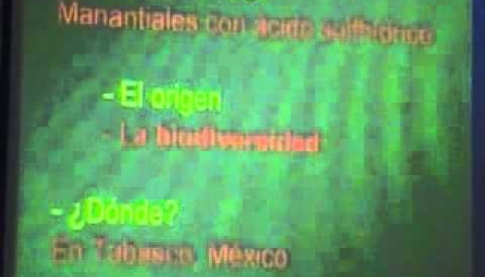Origen y biodiversidad de manantiales con ácido sulfhídrico en Tabasco, México.