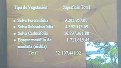Las Selvas y los Tucanes