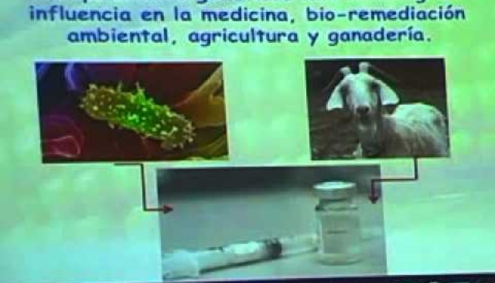 Biotecnología Agrícola