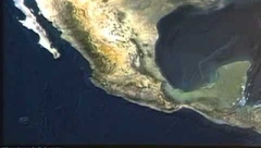 Año internacional de los Bosques, 2011