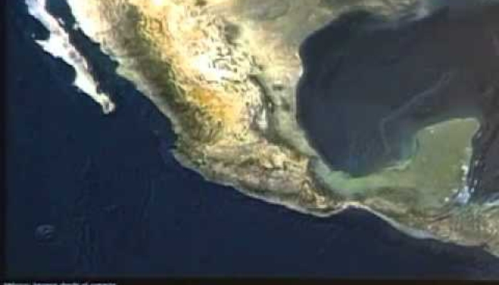 Año internacional de los Bosques, 2011