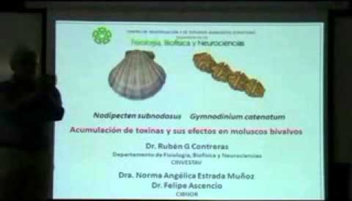 Los moluscos bivalvos y el transporte de toxinas