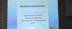 Y el alcohol Como se metaboliza