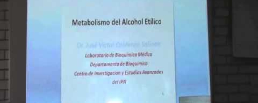 Y el alcohol Como se metaboliza