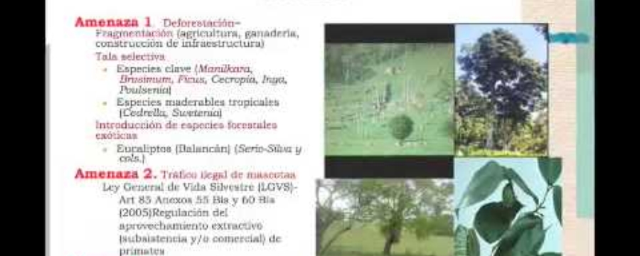 Cambio climatico y conservacion en primates Mexicanos