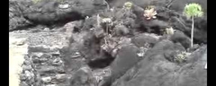 El origen del lago Nabor Carrillo