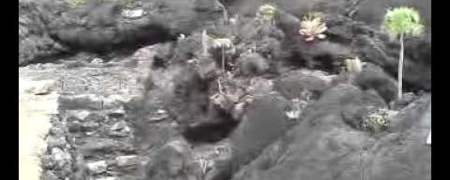 El origen del lago Nabor Carrillo