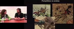 El fantástico mundo de las avispas parasitoides