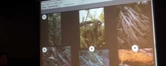 RIQUEZA NATURAL y sociedad.  ¿El tamaño importa?