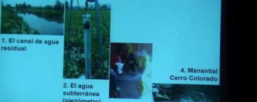 5º COLOQUIO RIQUEZA NATURAL Y SOCIEDAD PRESENTA  DIVERSIDAD MICROBIANA