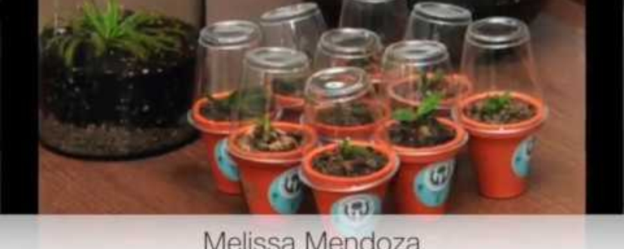 Laboratorio de Cultivo de Tejidos Vegetales I JB  UNAM