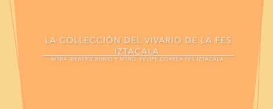 Historia de la colección del vivario FES Iztacala UNAM